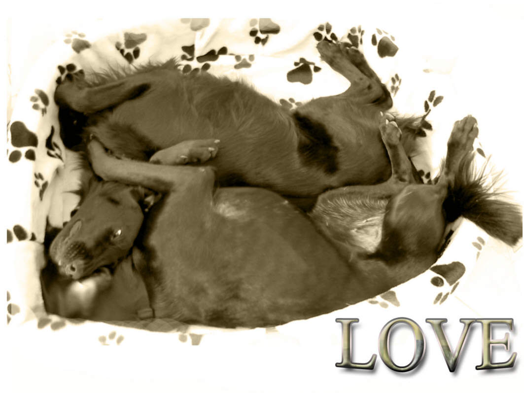 love