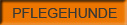 Pflegehunde