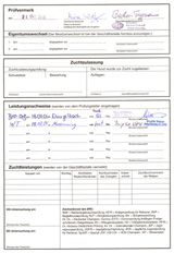 ahnentafel4