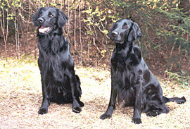 balko&bronwynn
