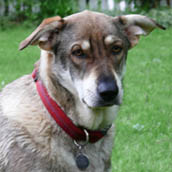 luna kopf