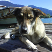 luna tegsee