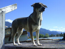 luna tegsee1