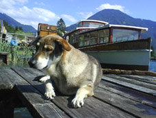 luna tegsee2